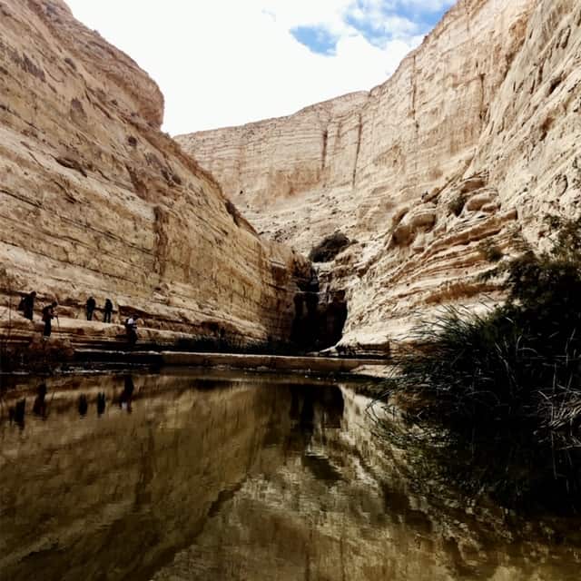 EIN OVDAT NATIONAL PARK WITH A CHAUFFEUR IN ISRAEL