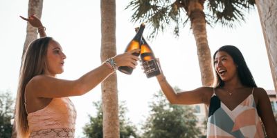 Visit the Wineries in the Golan Heights with a driver