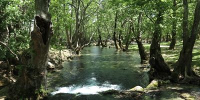 5 secret springs to visit in Israel
